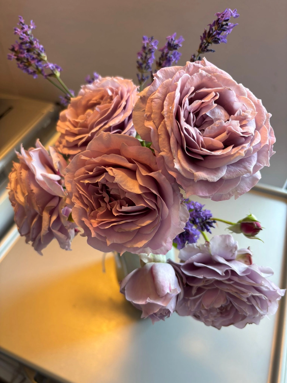 Frauenarztpraxis Dr. A. Dietrich - Gesundheitsdienste für Frauen - Nahaufnahme von Schulter und Arm einer Person, die sich über den Körper streckt.